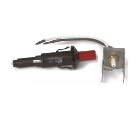 Kit piezoelectrónico + electrodo para Q 120, 1200, 220 y 2200